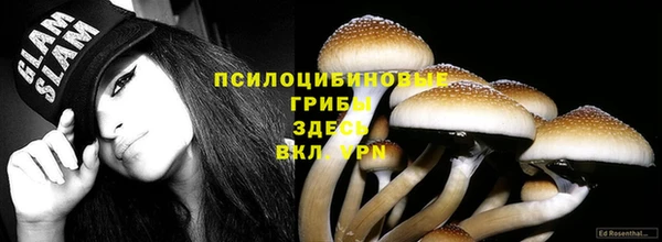 молекула духа Дмитриев