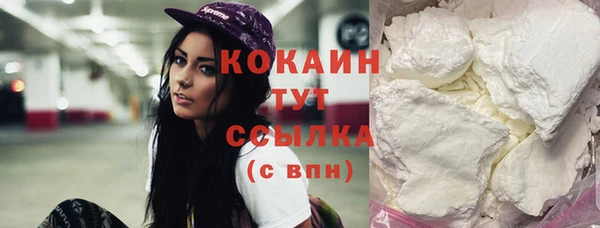 молекула духа Дмитриев