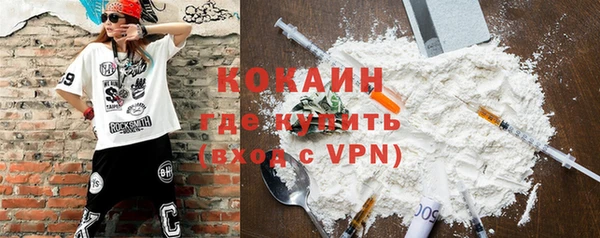 молекула духа Дмитриев