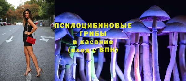 молекула духа Дмитриев