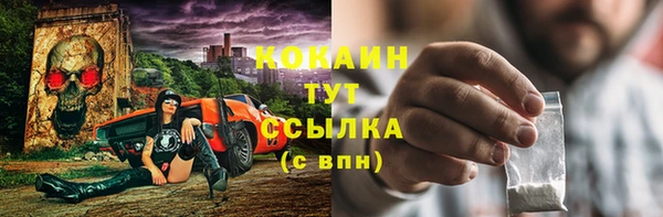 молекула духа Дмитриев